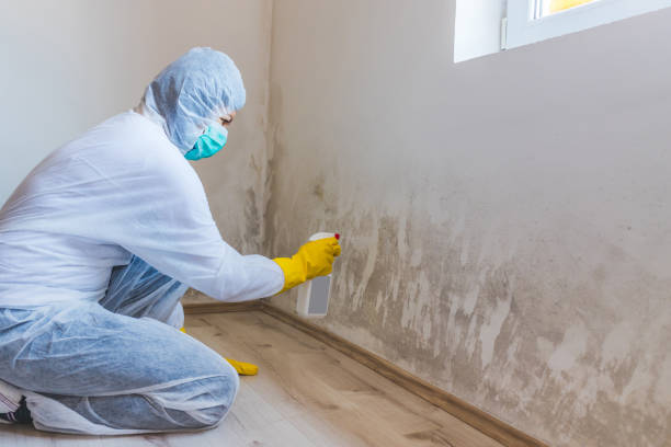 Crawl Space Mold Removal in Springfield, SD