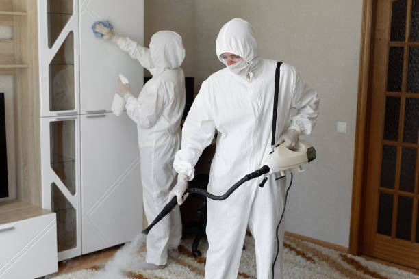 Best Attic Mold Removal  in Springfield, SD