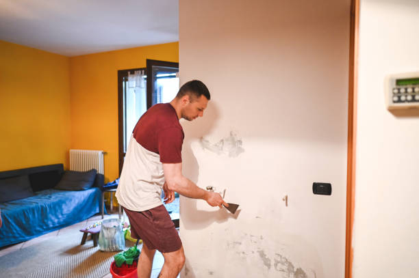 Office Mold Removal Services in Springfield, SD
