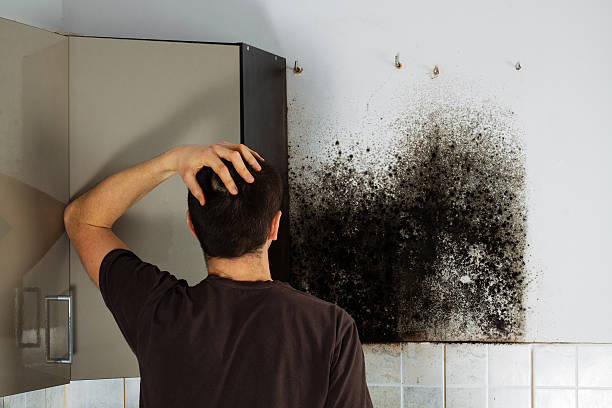 Best Crawl Space Mold Removal  in Springfield, SD